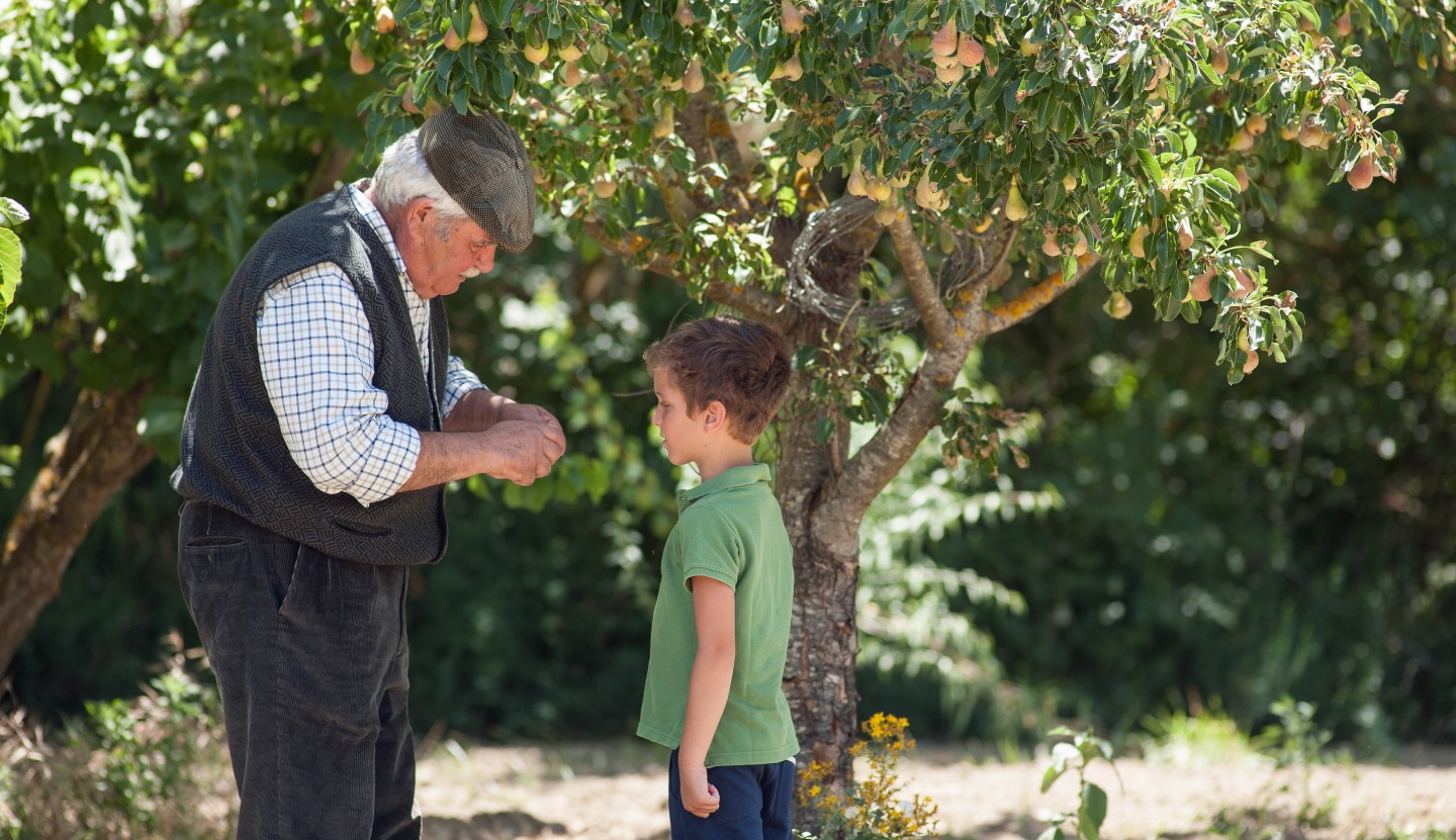 Blue Zones: i segreti dei centenari per una vita lunga e sana